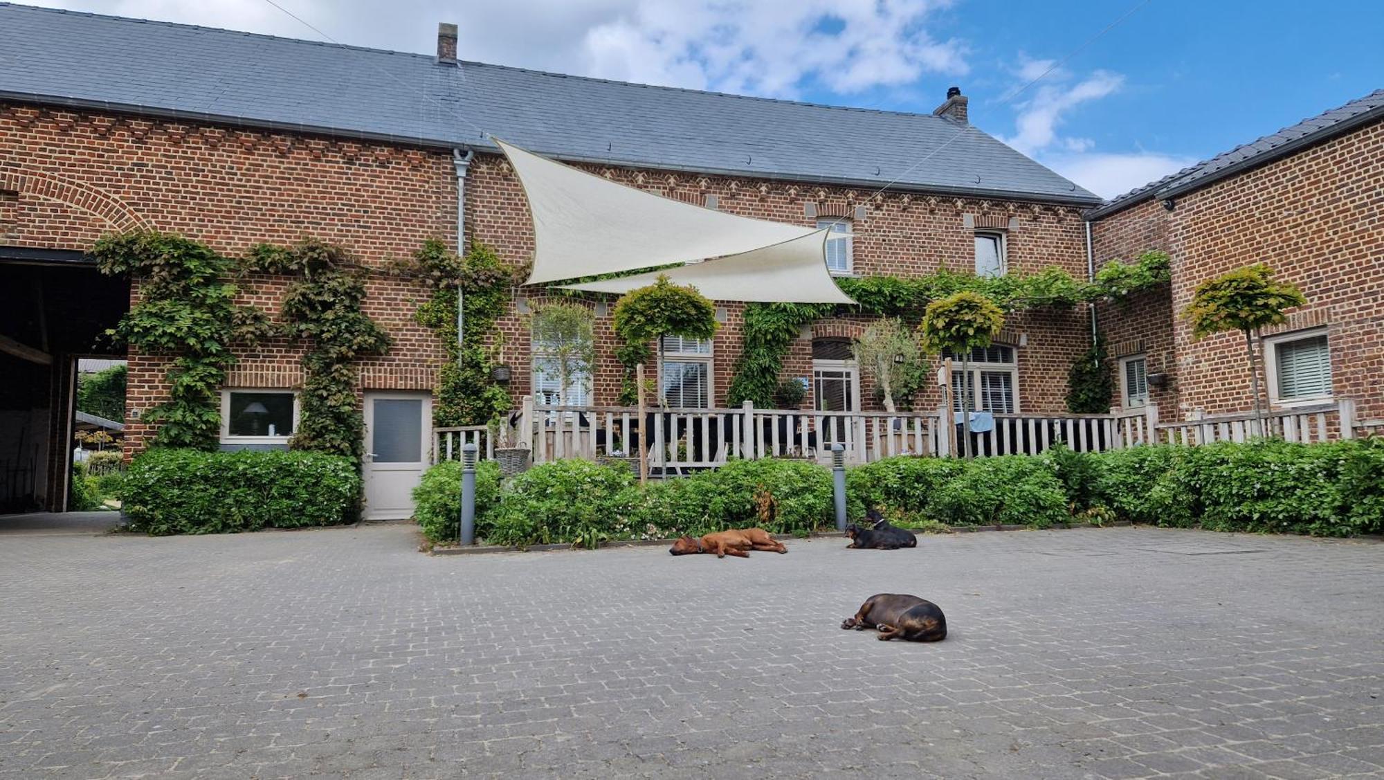 Guesthouse Biolleke Boutersem Exteriér fotografie